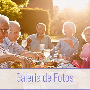 Galeria de Fotos